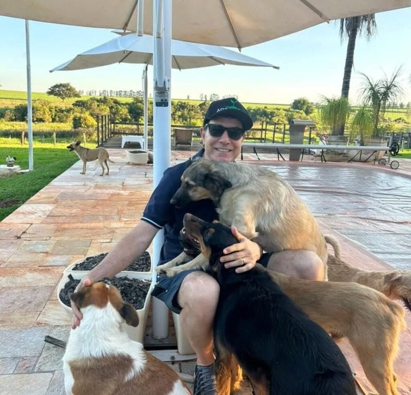 Minha vida com os pets: Uma história de Amor e companheirismo